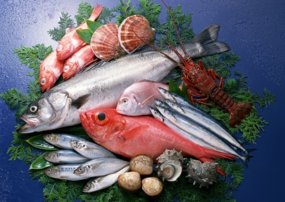 panama fish market cult 2