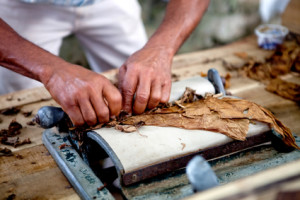 Man making cigars
